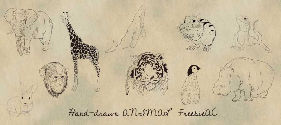 Vẽ tay minh họa động vật