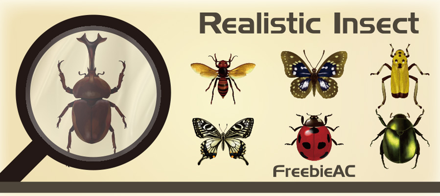 Realistic insect illustration