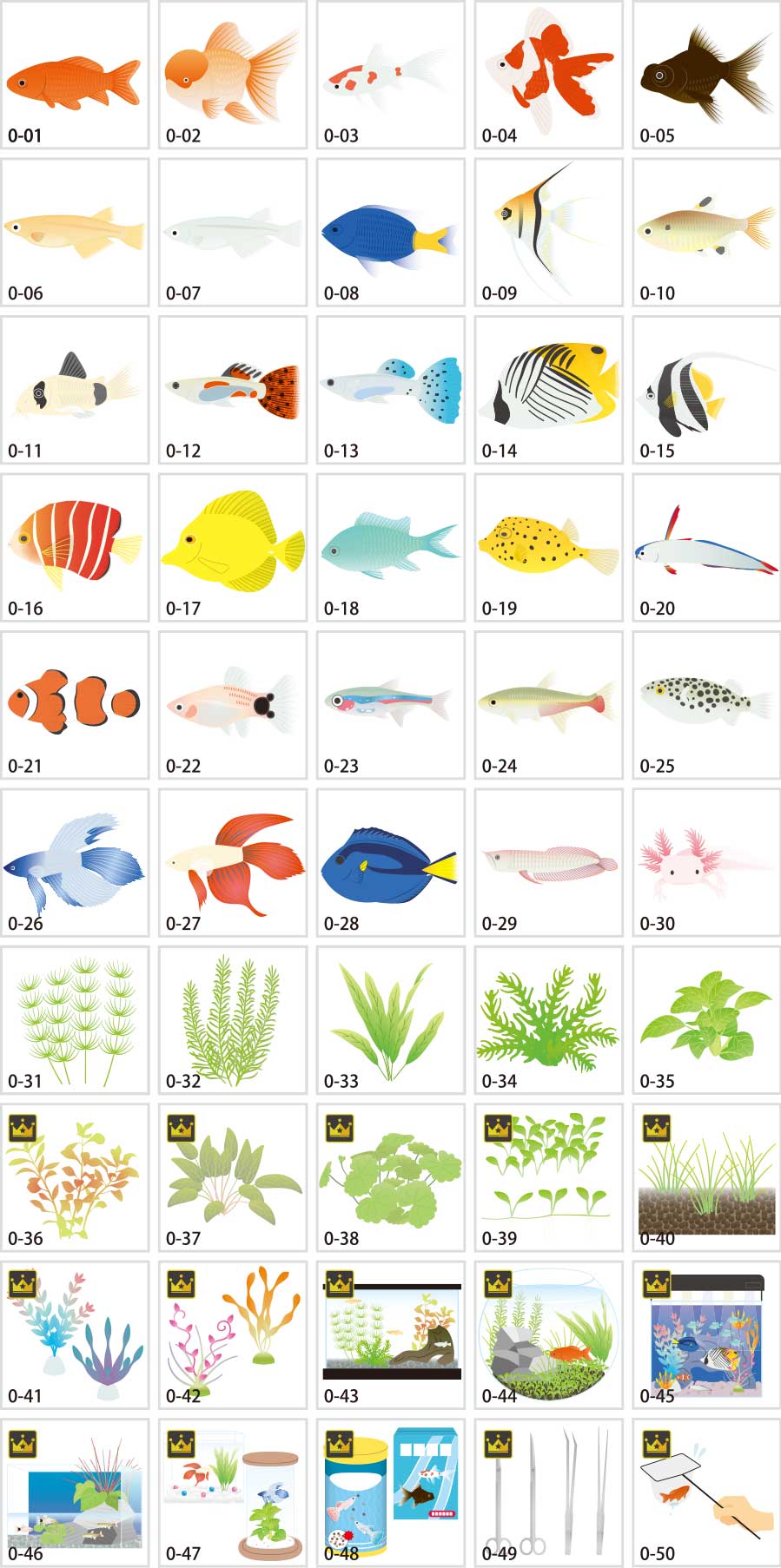 Illustration of ornamental fish