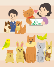 애완 동물 보험의 그림