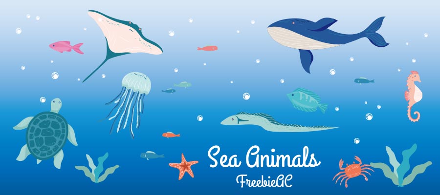 海の生き物イラストコレクション 無料素材ならフリービーac